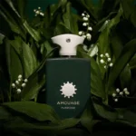 آمواج پرپس