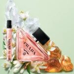 پرادا پارادوکس- PRADA - Prada Paradoxe
